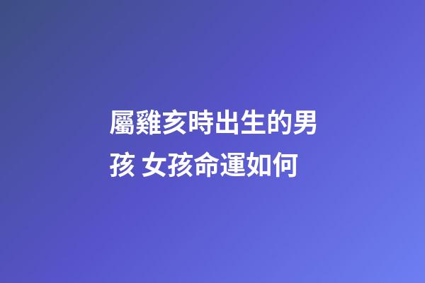 屬雞亥時出生的男孩 女孩命運如何